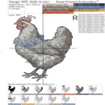 Chicken with Forget-Me-Nots Set - 5 sizes