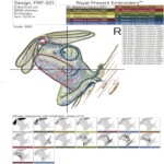 Colorful Chameleon medium - 3 sizes