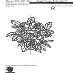 Contour blooming roses bouquet large - 5 sizes