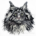Maine Coon Cat Portrait Medium - 4 sizes