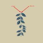 Laurel Border - 3 sizes