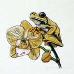 Yellow Frog Among Orchid small - 3 sizes