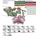 Frog Among Orchid - 4 sizes