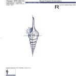 Tall Spiral Seashell Bluework Machine Embroidery Design - 3 Sizes