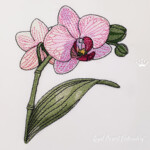 Elegant Orchids in 4 sizes