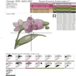 Elegant Orchids in 4 sizes