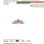 Tiny Orchid Flowers Free - 4 sizes