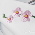 Orchid Flowers - 4 sizes