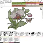 Orchid large with butterfly set in 4 sizes