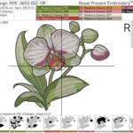 Orchid large with butterfly set in 4 sizes