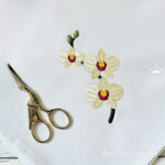 Orchid Flowers - 4 sizes