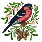 Bullfinch on a spruce branch with pine cones - 4 sizes
