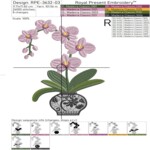 Pink Orchid in a vase - 4 sizes