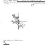 Two contour orchids set - 4 sizes