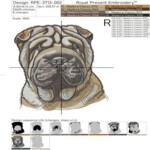 Portrait of Shar Pei - 6 sizes