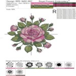Blooming Garden Roses - 4 sizes