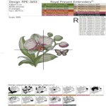 Nature's Charm: Orchid and Butterfly Set in 4 sizes