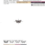 Nature's Charm: Orchid and Butterfly Set in 4 sizes