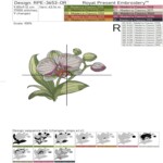 Nature's Charm: Orchid and Butterfly Set in 4 sizes