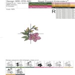 Sophisticated Orchids set in 4 sizes