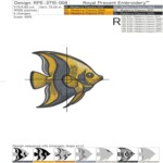 Tropical fish - 3 sizes