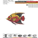 Tropical fish and coral - 3 sizes