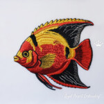 Tropical fish and coral - 3 sizes