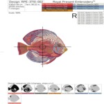 Tropical Discus and Coral - 3 sizes