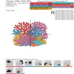 Bright corals set - 3 sizes