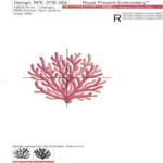 Bright corals set - 3 sizes