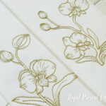 Two contour orchids set - 4 sizes