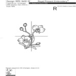 Two contour orchids set - 4 sizes