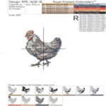 Two Chickens set - 3 sizes