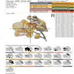 Yellow Frog Among Orchid small - 3 sizes