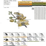 Golden Frog on Orchid - 3 sizes