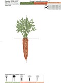 Carrot Machine Embroidery Design - 4 sizes