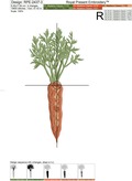 Carrot Machine Embroidery Design - 4 sizes
