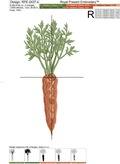 Carrot Machine Embroidery Design - 4 sizes
