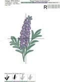 Lavender with inscription - 2 sizes