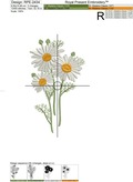 Field chamomile Machine Embroidery Design - 2 sizes