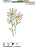 Field chamomile Machine Embroidery Design - 2 sizes
