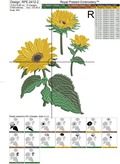 Three Sunflowers Machine Embroidery Design - 6 sizes