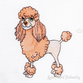 Apricot Poodle - 5 sizes