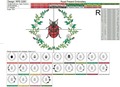 Ladybug flower frame Machine Embroidery Design - 3 sizes