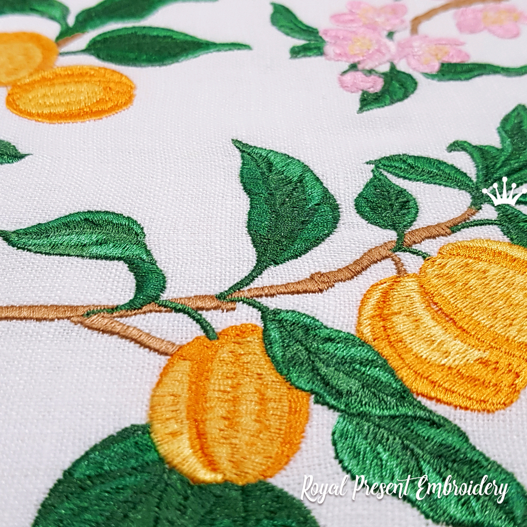 Apricots Machine Embroidery Designs Set | Royal Present Embroidery