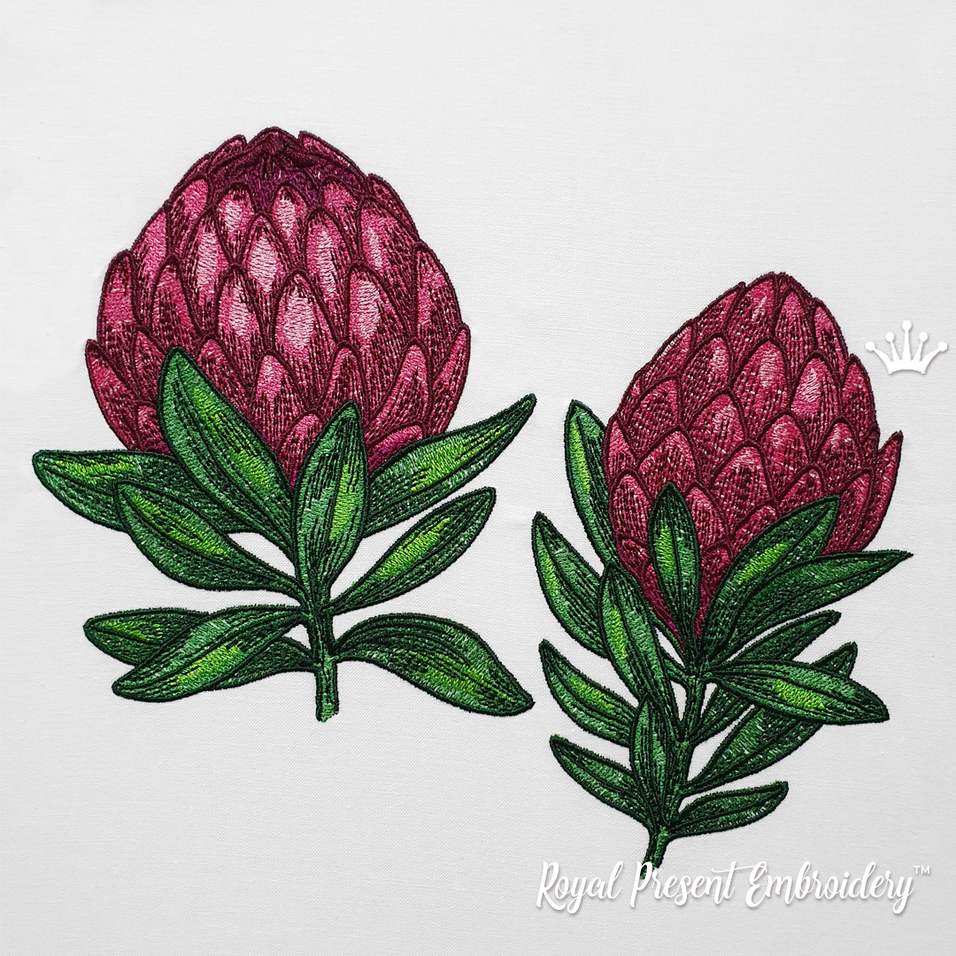Protea Machine Embroidery Designs 4 sizes Royal Present Embroidery